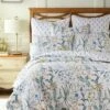 Wholesale 🎁 Apolonia Quilt and Pillow Sham Set - Villa Lugano by Levtex Home 😀 -Quilts Online Shop unnamed file 1046