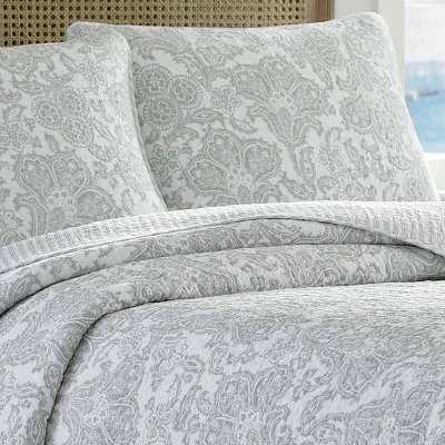 Best reviews of ✔️ Island Memory Pelican Quilt & Sham Set Gray - Tommy Bahama 🛒 3 Best reviews of ✔️ Island Memory Pelican Quilt & Sham Set Gray - Tommy Bahama 🛒