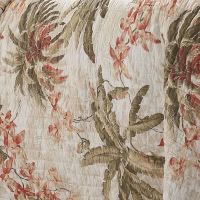 Cheap ๐ Bonny Cove Quilt & Sham Set White - Tommy Bahama ๐คฉ 4 Cheap ๐ Bonny Cove Quilt & Sham Set White - Tommy Bahama ๐คฉ - Image 2